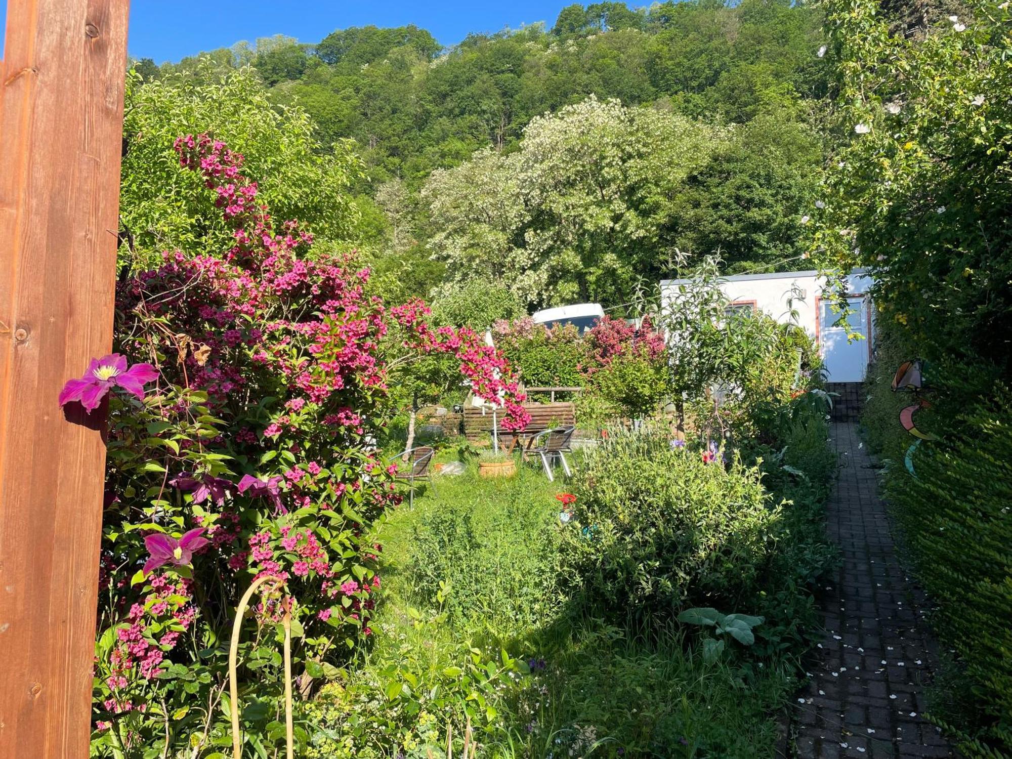 Blick Ins Gruene, Nah Am Zentrum Trier Exterior foto